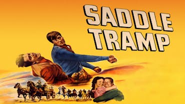 Saddle Tramp