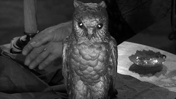 S3 E4 - The Golden Owl