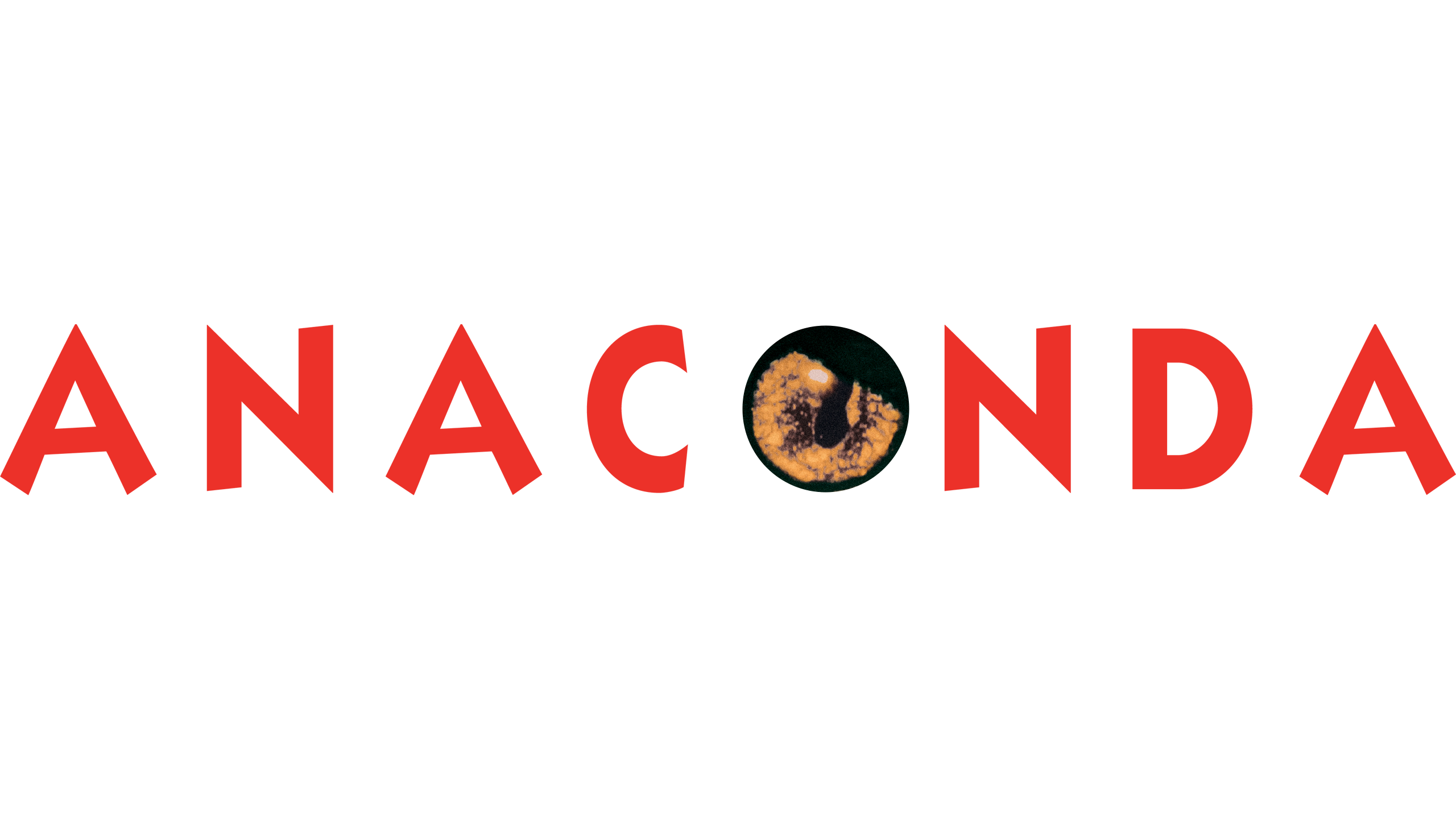 Anaconda