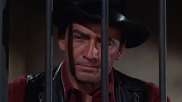 S1 E523 - Doctor Pat