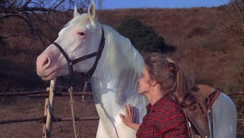 S1 E511 - Beloved Outlaw