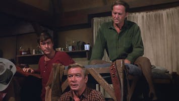 S1 E619 - The Gentle Tamers
