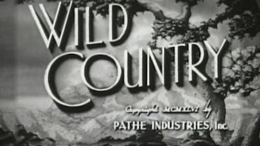 Wild Country