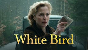 White Bird