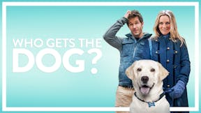 Who Gets the Dog?