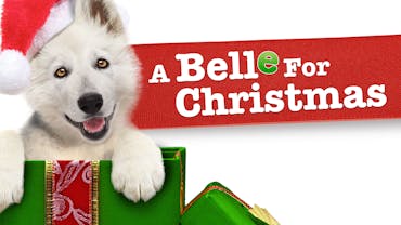 A Belle For Christmas