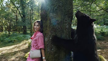 Cocaine Bear
