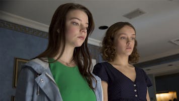 Thoroughbreds