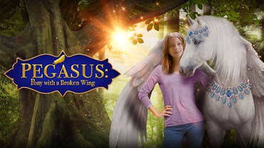 Pegasus: Pony With a Broken Wing