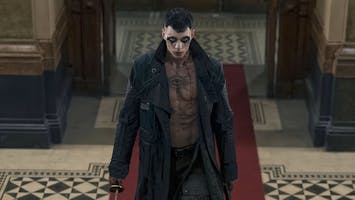 The Crow