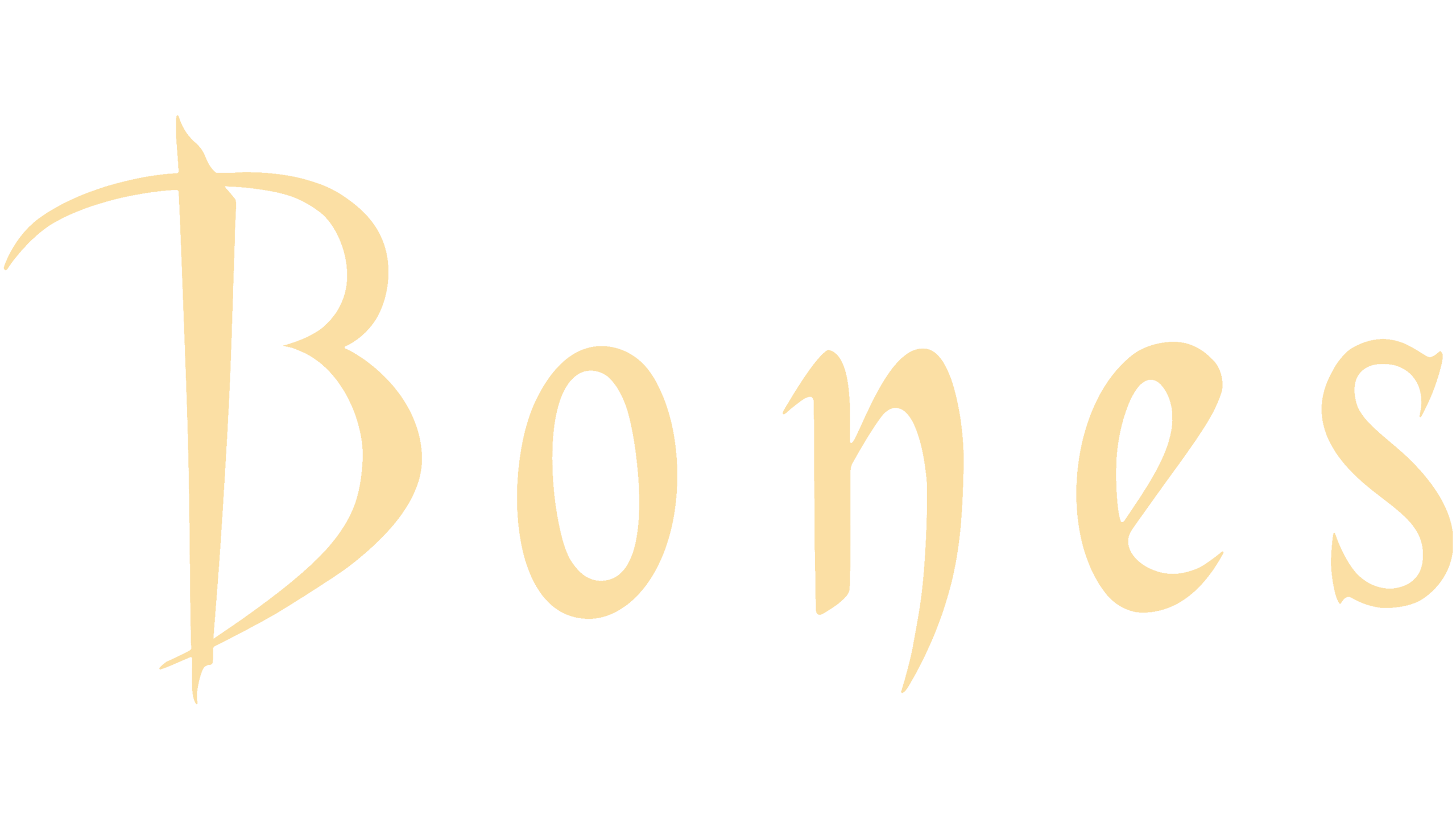 Bones