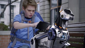 RoboRex