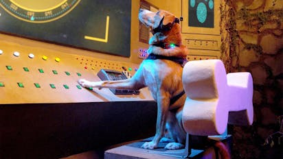 Agent Toby Barks
