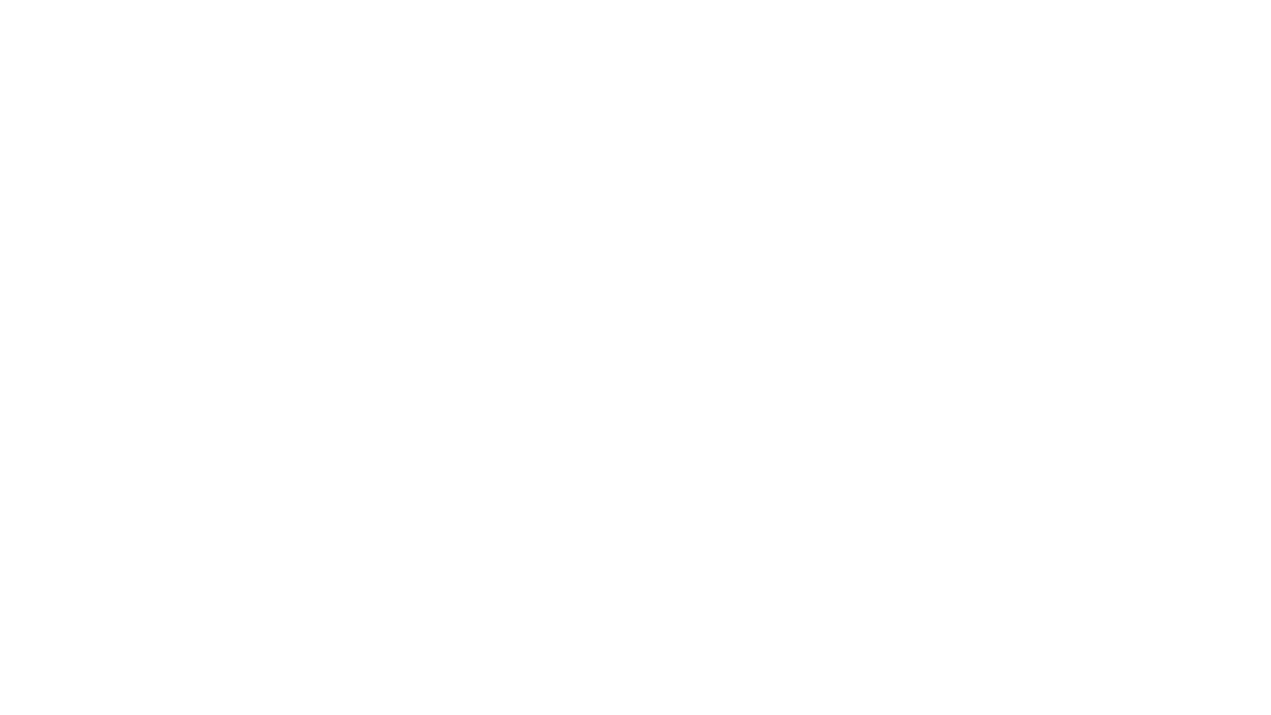 Mulan: Princess Warrior