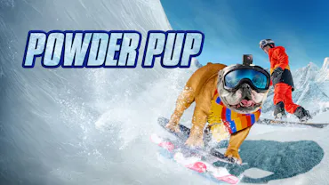 Powder Pup