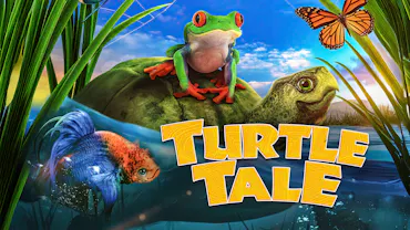Turtle Tale